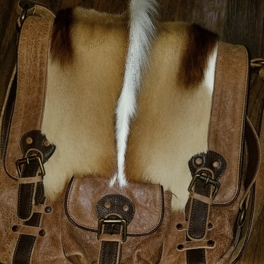 SOLD! Old Gringo Australian Springbok messenger - Picture 15 of 16